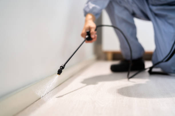 Licensed Pest Control service in Sanford, ME - Show Me Pest Control