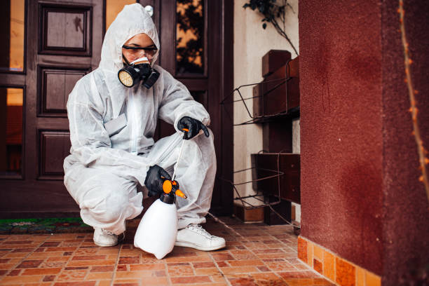 Reliable Wasp Removal contractor in Sanford, ME by Show Me Pest Control